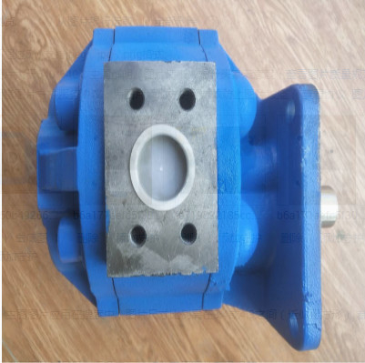 LGMC Various Model for Good Quality 11C0010 Gear Pump